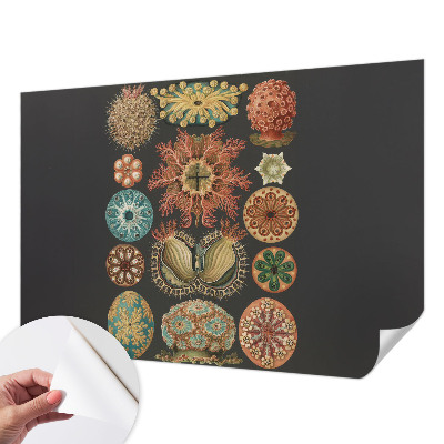 Mural de pared con estampado hermoso Inspiraciones marinas