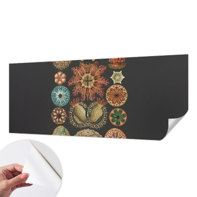 Mural de pared con estampado hermoso Inspiraciones marinas