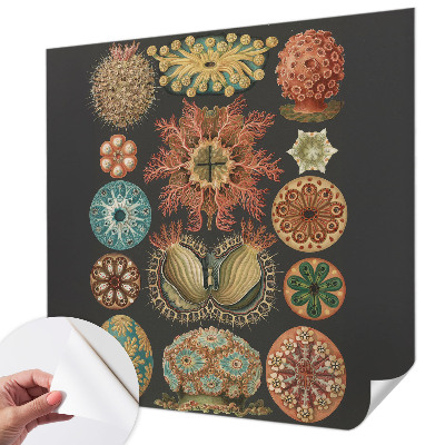 Mural de pared con estampado hermoso Inspiraciones marinas