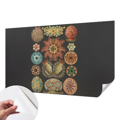 Mural de pared con estampado hermoso Inspiraciones marinas