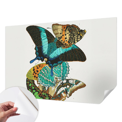 Fotomural decorativo para cabecero de cama con un motivo de mariposas coloridas
