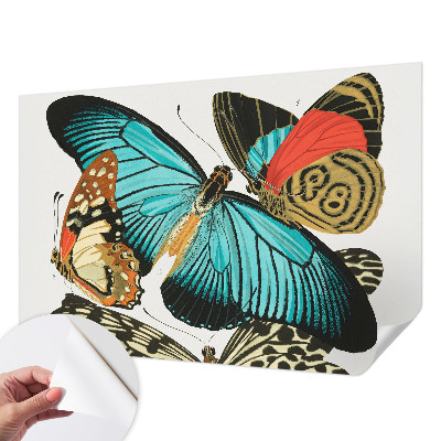 Papel mural con patrón decorativo con mariposas coloridas