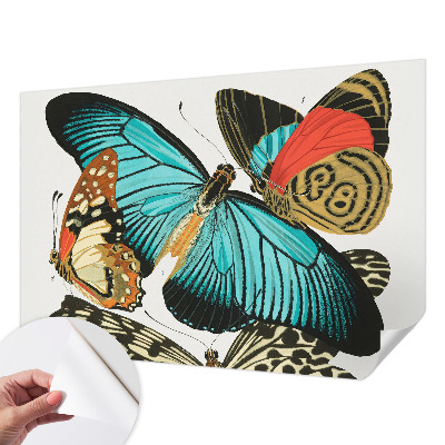 Papel mural con patrón decorativo con mariposas coloridas