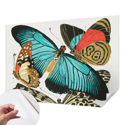 Papel mural con patrón decorativo con mariposas coloridas