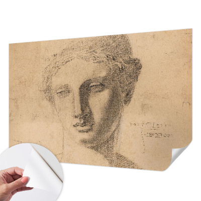 Papel mural con patrón decorativo con motivo de retrato femenino
