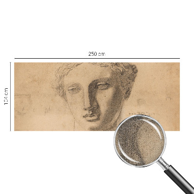 Papel mural con patrón decorativo Retrato femenino