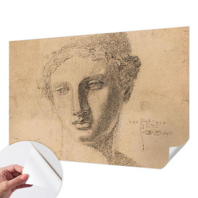 Papel mural con patrón decorativo con motivo de retrato femenino