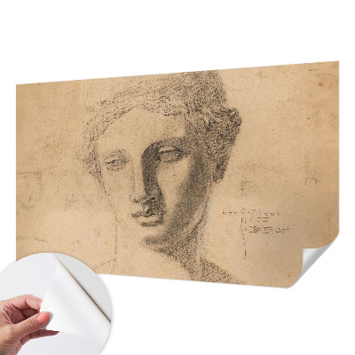 Papel mural con patrón decorativo con motivo de retrato femenino