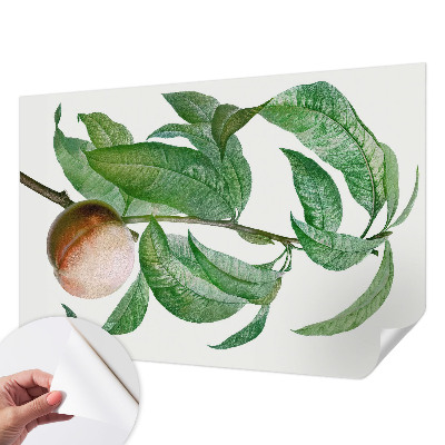 Papel mural con patrón decorativo en color melocotón maduro