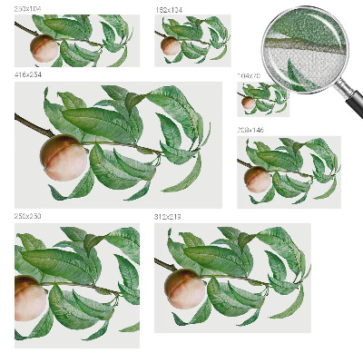 Papel mural con patrón decorativo Melocotón maduro