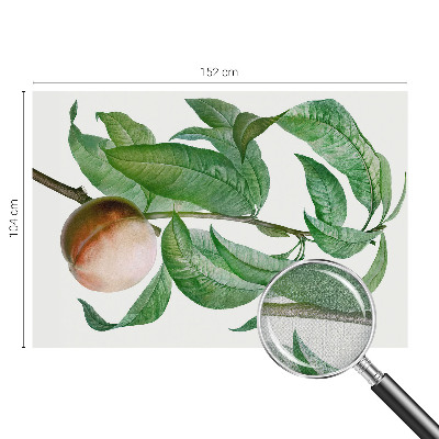 Papel mural con patrón decorativo en color melocotón maduro