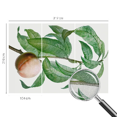 Papel mural con patrón decorativo Melocotón maduro