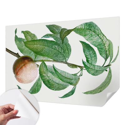 Papel mural con patrón decorativo en color melocotón maduro