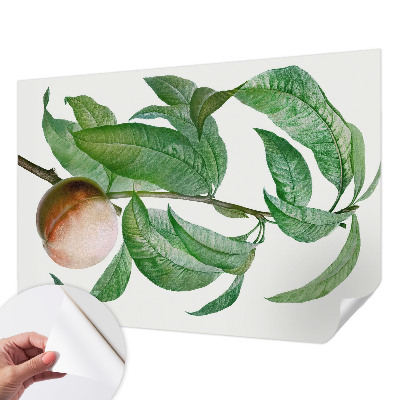 Papel mural con patrón decorativo en color melocotón maduro