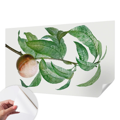 Papel mural con patrón decorativo en color melocotón maduro