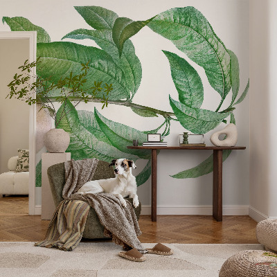 Papel mural con patrón decorativo Melocotón maduro