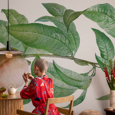 Papel mural con patrón decorativo Melocotón maduro