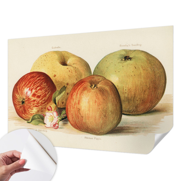 Papel mural con patrón decorativo flores de manzano