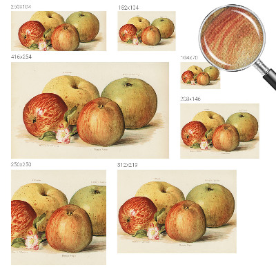 Papel mural con patrón decorativo flores de manzano