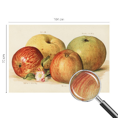 Papel mural con patrón decorativo flores de manzano