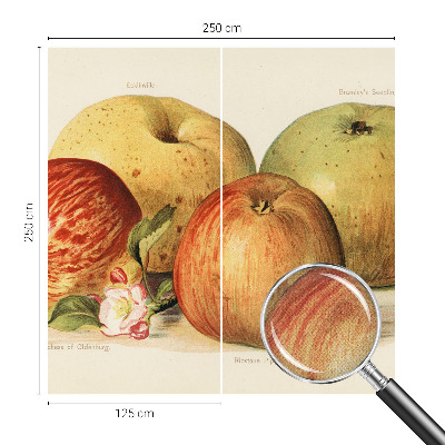 Papel mural con patrón decorativo flores de manzano