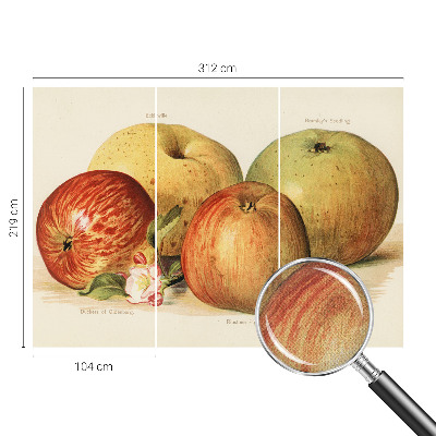 Papel mural con patrón decorativo flores de manzano