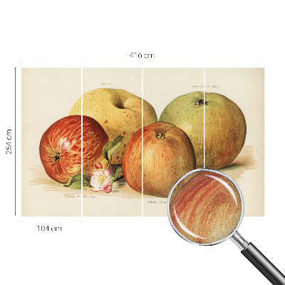 Papel mural con patrón decorativo flores de manzano