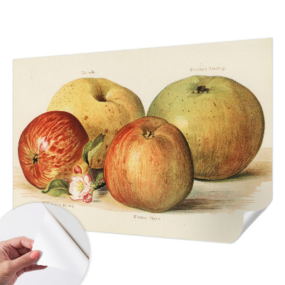 Papel mural con patrón decorativo flores de manzano