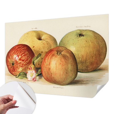 Papel mural con patrón decorativo flores de manzano