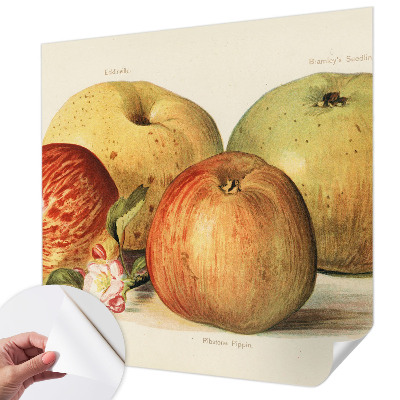 Papel mural con patrón decorativo flores de manzano