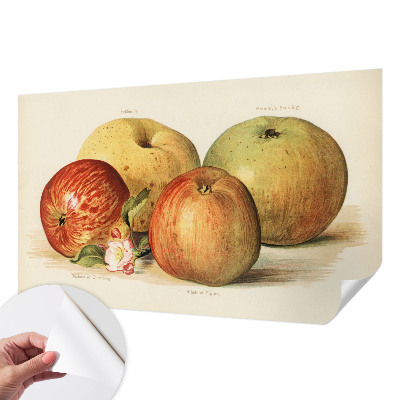 Papel mural con patrón decorativo con motivo de flores de manzano