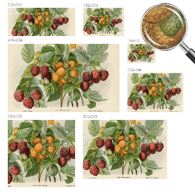 Mural de pared con estampado hermoso frambuesas clásicas