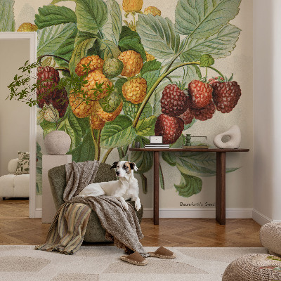 Mural de pared con estampado hermoso frambuesas clásicas