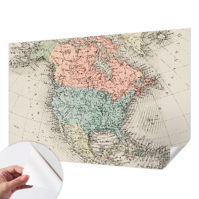 Papel mural texturado decorativo con diseño de mapa histórico