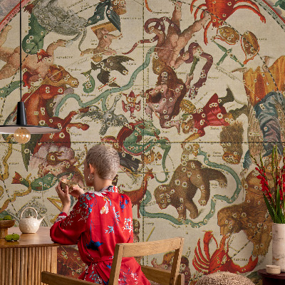 Papel mural con patrón decorativo composiciones estelares