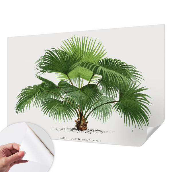 Mural de pared con estampado hermoso con diseño de palmera exótica