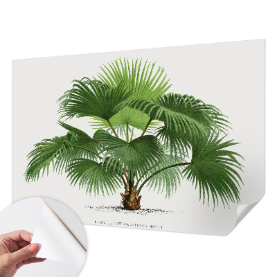 Mural de pared con estampado hermoso con diseño de palmera exótica