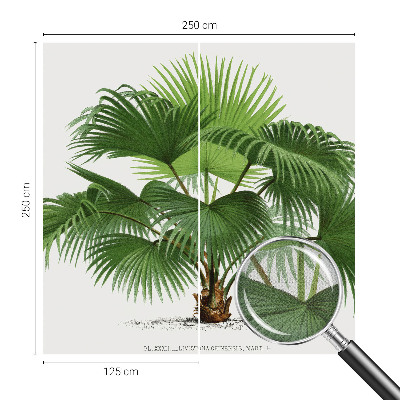 Mural de pared con estampado hermoso con diseño de palmera exótica
