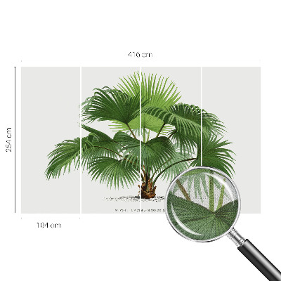 Mural de pared con estampado hermoso con diseño de palmera exótica