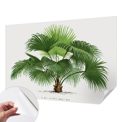 Mural de pared con estampado hermoso con diseño de palmera exótica