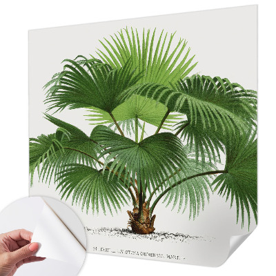 Mural de pared con estampado hermoso Palmera exótica