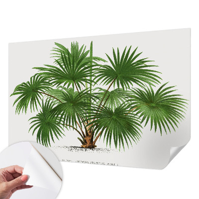 Papel mural texturado decorativo con un patrón exótico