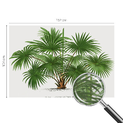 Papel mural texturado decorativo Patrón exótico