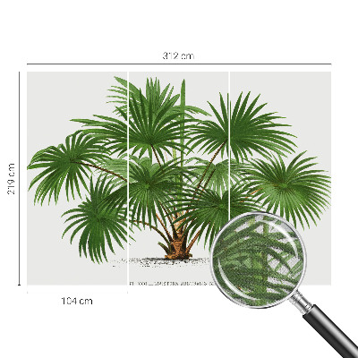 Papel mural texturado decorativo Patrón exótico