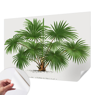 Papel mural texturado decorativo Patrón exótico