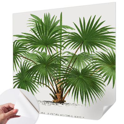 Papel mural texturado decorativo con un patrón exótico