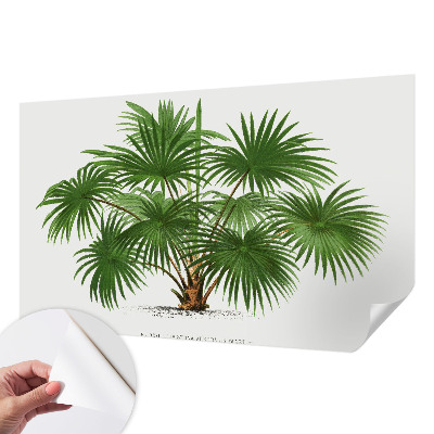 Papel mural texturado decorativo con un patrón exótico