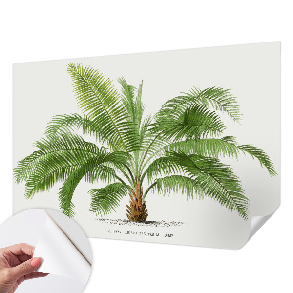 Fotomural decorativo para cabecero de cama con diseño de palmera brillante