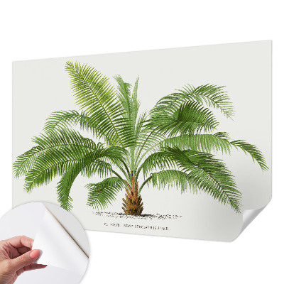 Fotomural decorativo para cabecero de cama con diseño de palmera brillante