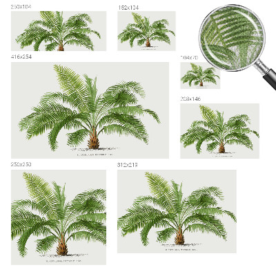 Fotomural decorativo para cabecero de cama con diseño de palmera brillante